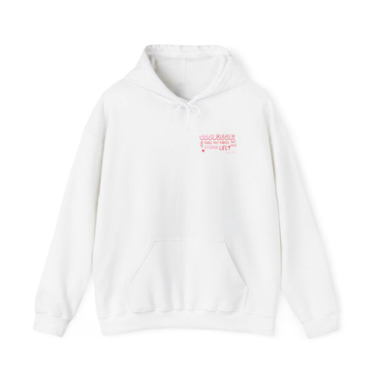 A white John 3:16 hoodie with a logo, kangaroo pocket, and drawstring hood. Unisex heavy blend for warmth and comfort on cold days. Sizes S-5XL. Cotton-polyester fabric, classic fit.