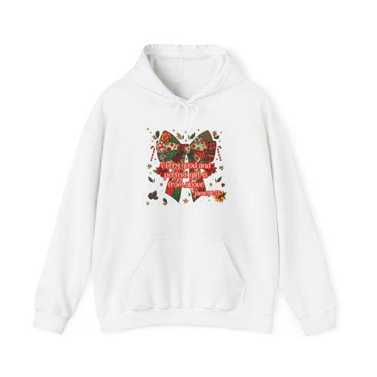 White hoodie with festive bow, holly, and candy canes graphic, featuring Every good and perfect gift is from above, James 1:17 text.
