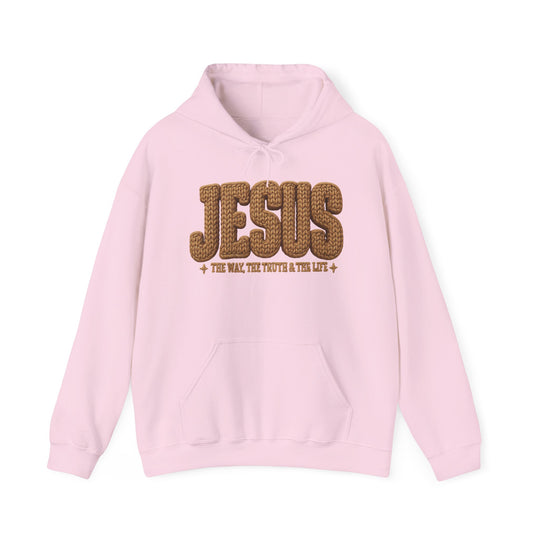Light pink hoodie with “JESUS” in knit-style font and “THE WAY, THE TRUTH & THE LIFE” below, featuring a kangaroo pocket and color-matched drawstring.