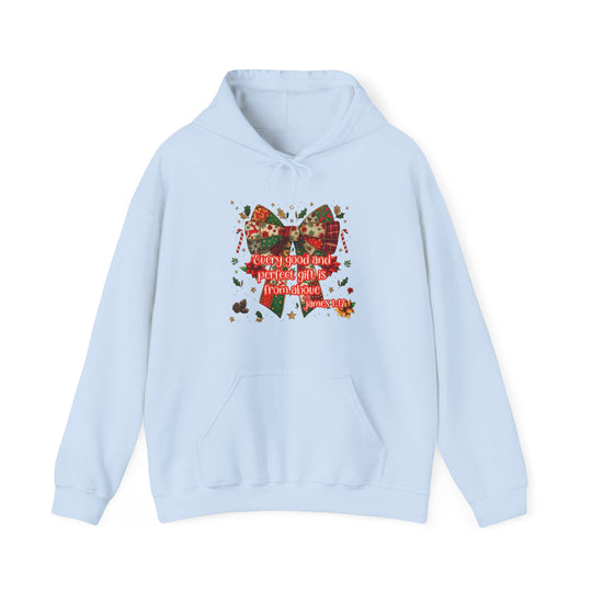 Gift from Above Hoodie featuring a Christmas-themed design with a patchwork bow, holly, candy canes, and Bible verse James 1:17 on a light-blue pullover.