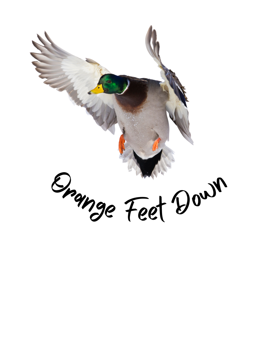 A duck with wings outstretched flying in the sky, embodying freedom and grace, captured on an Orange Feet Down Hoodie from Worlds Worst Tees. Made of 50% cotton and 50% polyester, this NuBlend® hooded sweatshirt offers a loose fit and a front pouch pocket.
